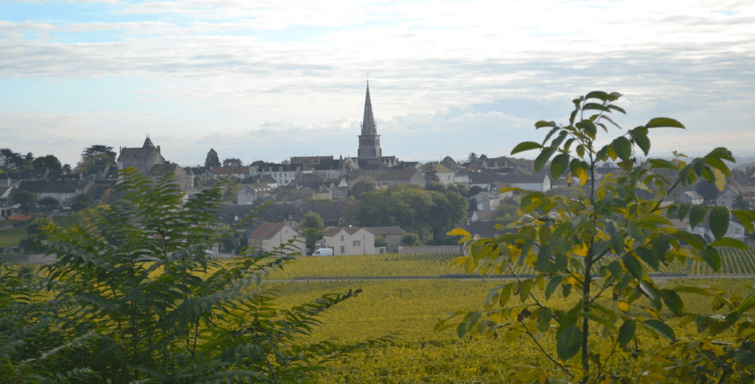 Meursault Village